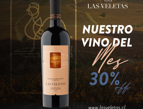 EN SEPTIEMBRE CELEBRA CON VIÑA LAS VELETAS, EL ALMA DEL MAULE